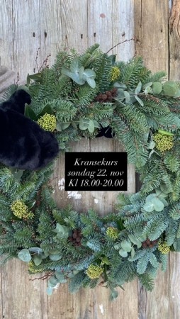SØNDAG 22. NOVEMBER